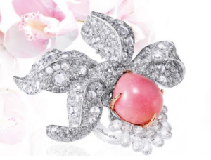 conch pearls