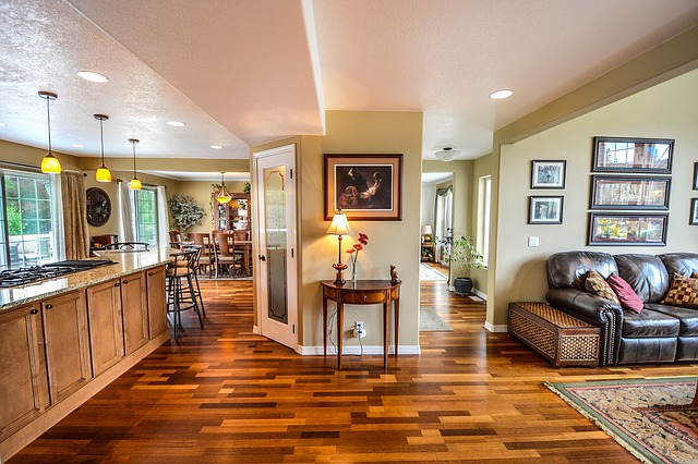 A Dog Lover’s Guide to Buying Floors